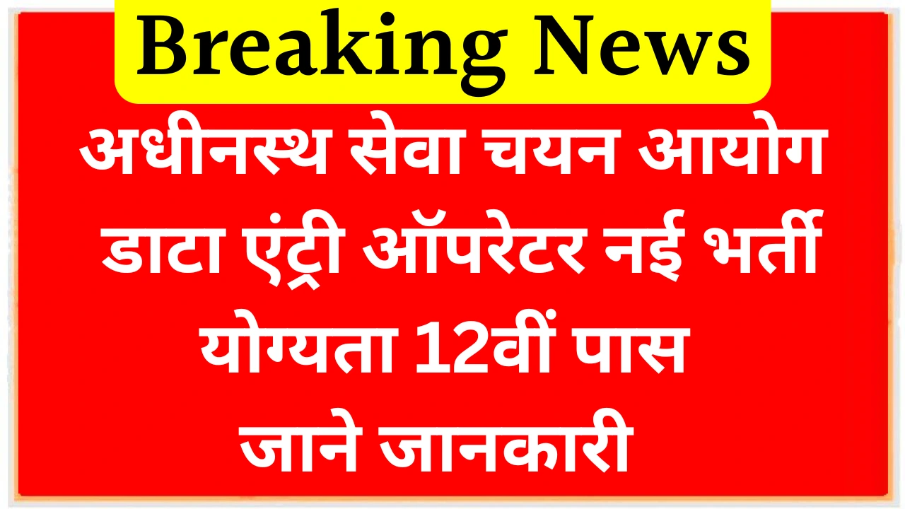 Data Entry Operator 257 Vacancy Data Entry Operator 257 Vacancy